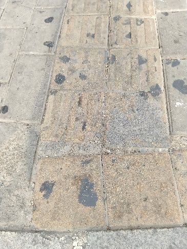 ٷְµѺۣSվäġ_(d)(bio)cʧء
