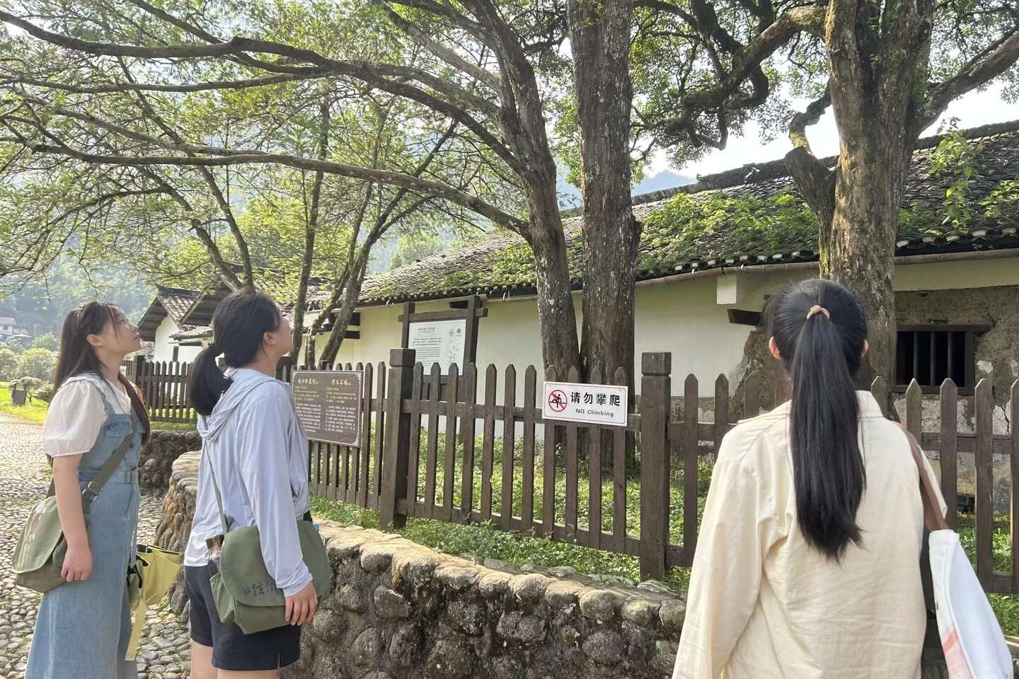 磬ǻ