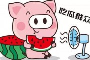 娱乐吃瓜酱送外卖的小波,娱乐吃瓜酱背后的故事
