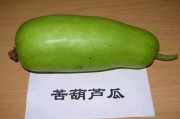 娱乐吃瓜酱拒绝精神内耗