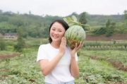 座等吃瓜,揭秘网络热议背后的真相与趣味