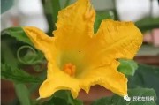 花花娱乐带你吃瓜